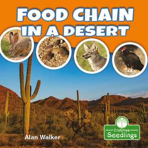 Food Chain in a Desert de Alan Walker