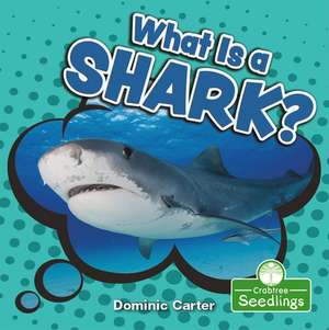 What Is a Shark? de Dominic Carter