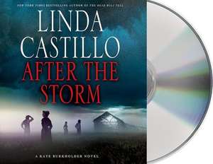 After the Storm de Linda Castillo