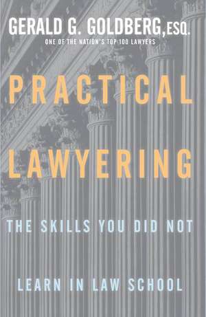 Practical Lawyering: The Skills You Did Not Learn in Law School de Gerald Goldberg