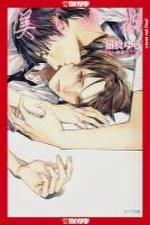 My Beautiful Man, Volume 1 (Light Novel) de Yuu Nagira