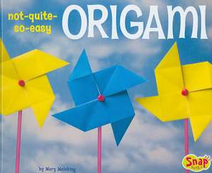 Not-Quite-So-Easy Origami de Mary Meinking