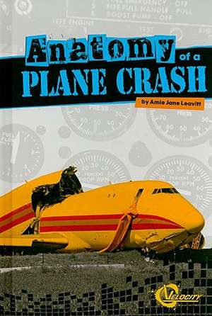 Anatomy of a Plane Crash de Amie Jane Leavitt