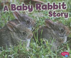 A Baby Rabbit Story de Jeni Wittrock