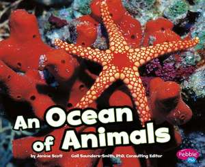 An Ocean of Animals de Janine Scott