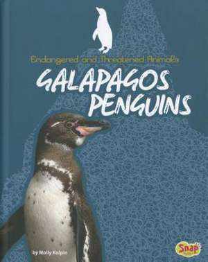 Galapagos Penguins de Molly Kolpin