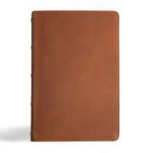 CSB Men's Daily Bible, Brown Genuine Leather, Indexed de Robert Wolgemuth