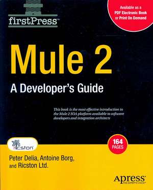 Mule 2: A Developer's Guide de Antoine Borg