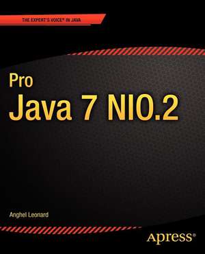 Pro Java 7 NIO.2 de Anghel Leonard