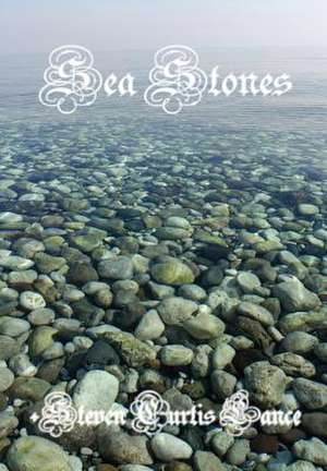 Sea Stones de Steven Curtis Lance