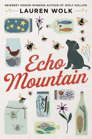 Echo Mountain de Lauren Wolk