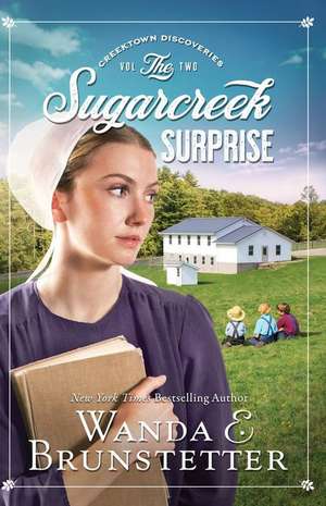 The Sugarcreek Surprise de Wanda E. Brunstetter