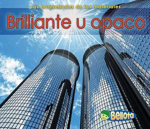 Brillante U Opaco = Shiny or Dull de Charlotte Guillain