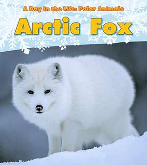 Arctic Fox de Katie Marsico