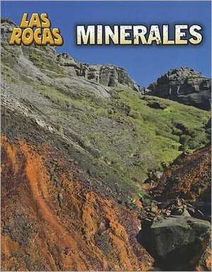 Minerales = Minerals de Richard Spilsbury