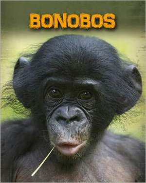 Bonobos de Buffy Silverman