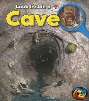 Cave de Richard Spilsbury