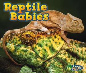 Reptile Babies de Catherine Veitch