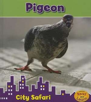 Pigeon de Isabel Thomas