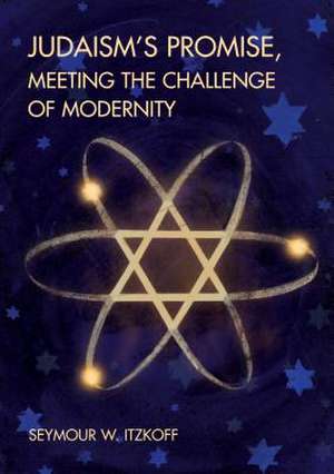 Judaism's Promise, Meeting the Challenge of Modernity: Using Critical Praxis and Activism to Create Uncomfortable Spaces de Seymour W. Itzkoff