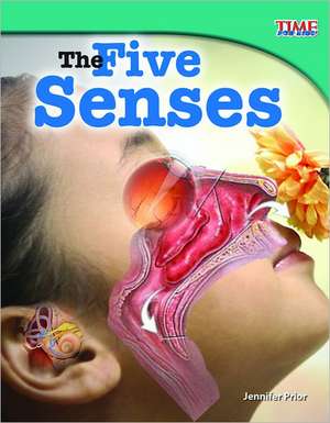 The Five Senses de Jennifer Prior