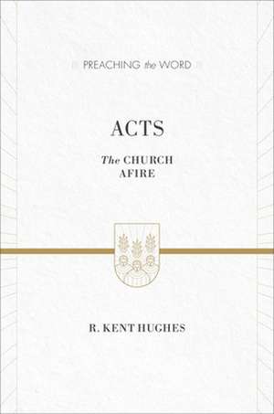 Acts de R. Kent Hughes