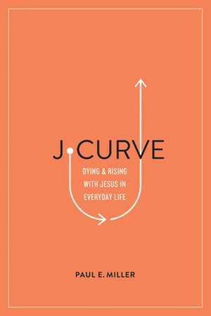 J-Curve de Paul E. Miller