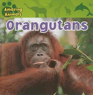 Orangutans de Susan Kueffner