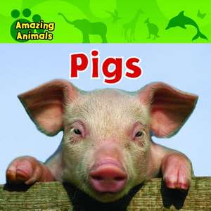 Pigs de Christina Wilsdon