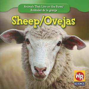 Sheep/Ovejas de JoAnn Early Macken