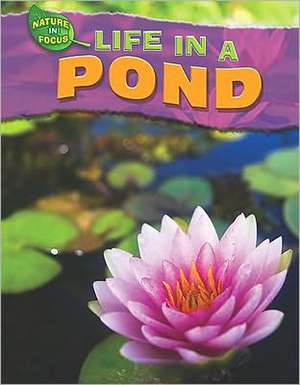 Life in a Pond de Adam Hibbert