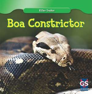 Boa Constrictor de Cede Jones