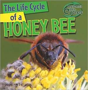 The Life Cycle of a Honeybee de Barbara M. Linde