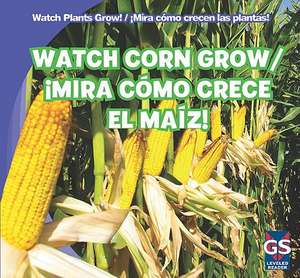 Watch Corn Grow!/Mira Como Crece El Maiz! de Kristen Rajczak