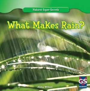 What Makes Rain? de Abby Wilson