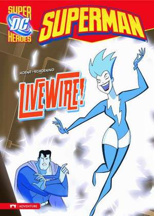 Superman: Livewire! de Blake A. Hoena