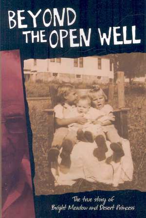 Beyond the Open Well de Jean M. Hebert