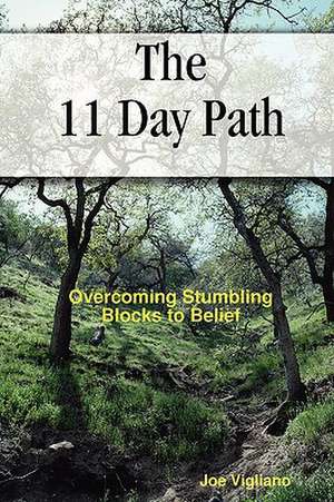 The 11 Day Path de Joe Vigliano