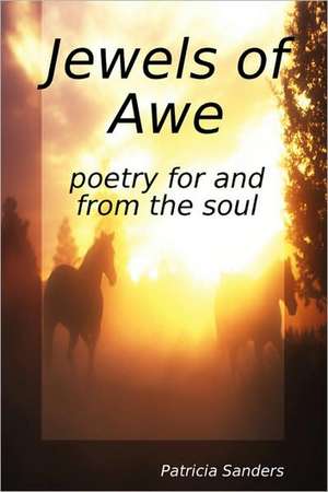 Jewels of Awe de Patricia Sanders