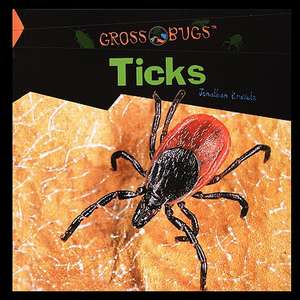 Ticks de Jonathan Kravetz