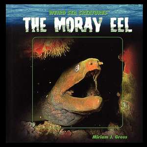 The Moray Eel de Miriam Gross