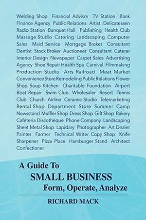 A Guide to Small Business Form, Operate, Analyze de Richard Mack