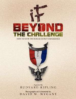 If - Beyond the Challenge de David W. Wygant