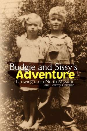 Budgie and Sissy's Adventure de Jane Lowrey-Christian