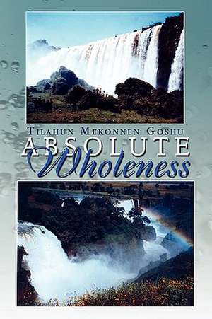 Absolute Wholeness de Tilahun Mekonnen Goshu