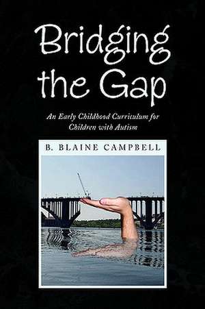 Campbell, B: Bridging the Gap