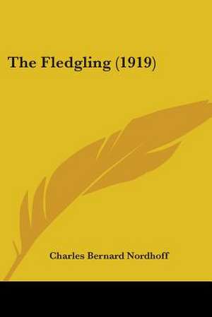 The Fledgling (1919) de Charles Bernard Nordhoff