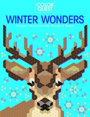 Color Quest: Winter Wonders de Daniela Geremia