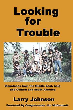 Looking for Trouble: Simple Hinduism Concepts for Everyone de Larry Johnson