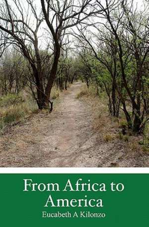 From Africa to America: An Immigrant's Story de Eucabeth A. Kilonzo